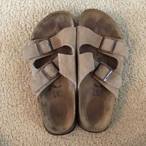 Birkenstocks (Betula)